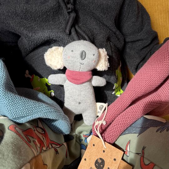 Dětské chrastítko Koala