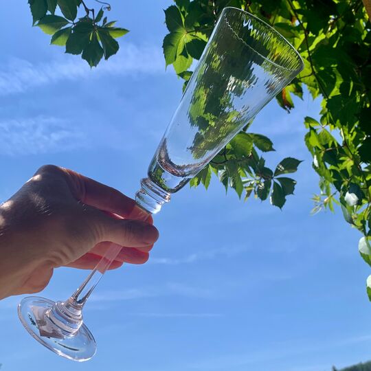 Sklenice na sekt, víno a vodu