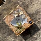 Miska Rybka v dárkovém balení