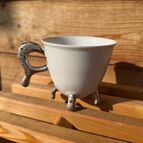 Hnízdo, ledové ouško