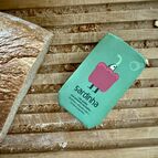 Sardinky v olivovém oleji s červenou paprikou