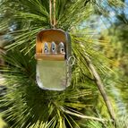 Velká konzerva sardinek