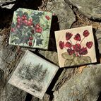 Nádherné ubrousky na vánoční stolování