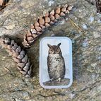 Typ 7