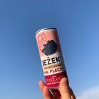 Růžový Ježek na plech