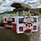 Nádherný vintage design