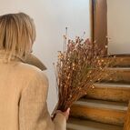 Krásná suchá kytice