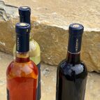 Vynikající moravská vína