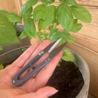 Skvělé zahradní nůžky na bylinky 