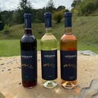 Vinařství Ježková