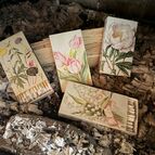 Parádní zápalky - na svíčky, krb, oheň