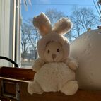 Jemňoučký plyšáček