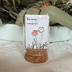 Nádherně rozkvetlá!