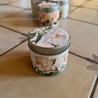 Pivoňky, vůně pivoněk