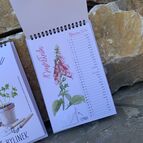 Kalendář na postavení