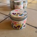 Macešky, vůně violky