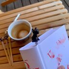 Záložka Černý kocour