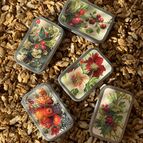 Osvěžující pastilky v boxíku