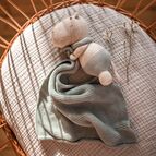 Muchláček hroch, šedomodrý