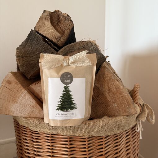 Vánoční stromeček, život v sáčku