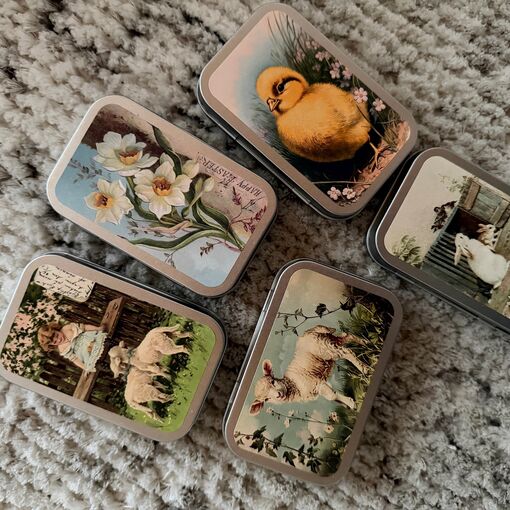 Pastilky Citrón, jarní motivy v plechové krabičce, Sköna Ting