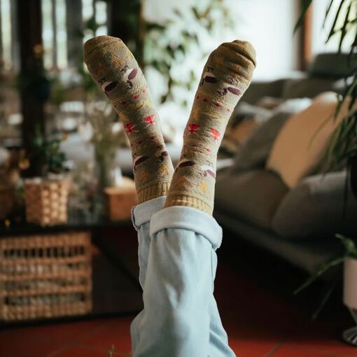 Pánské a dámské ponožky Anden, Polar Star